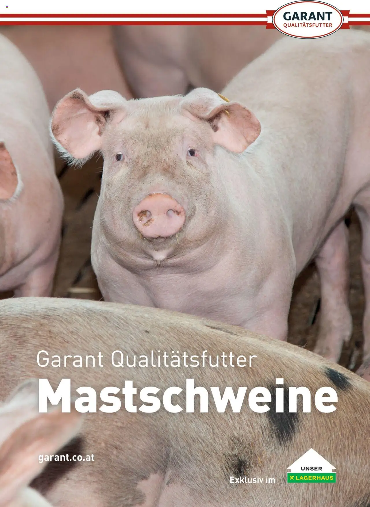 Lagerhaus  Schweinemast gültig ab 01.10.2025 | Seite: 1