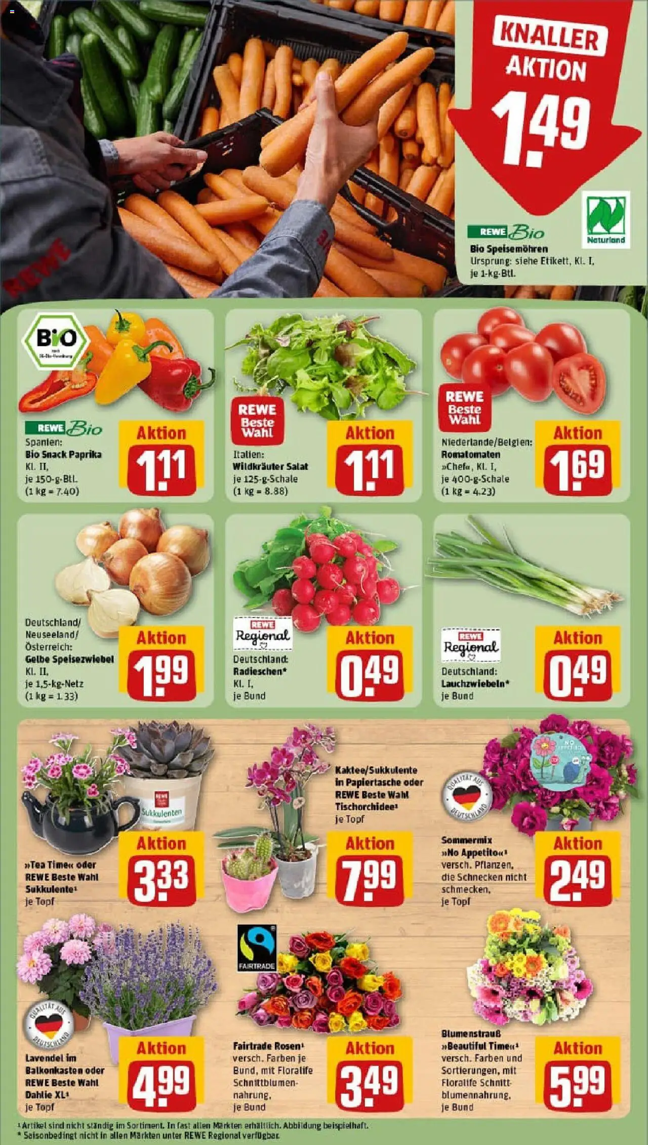 Rewe prospekt Stuttgart / Ost	 - gültig ab dem 29.06.2025 | Seite: 9 | Produkte: Paprika, Lavendel, Salat