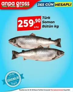 14.11.2025 tarihinden itibaren geçerli olan Anpa Gross kataloğu önizlemesi