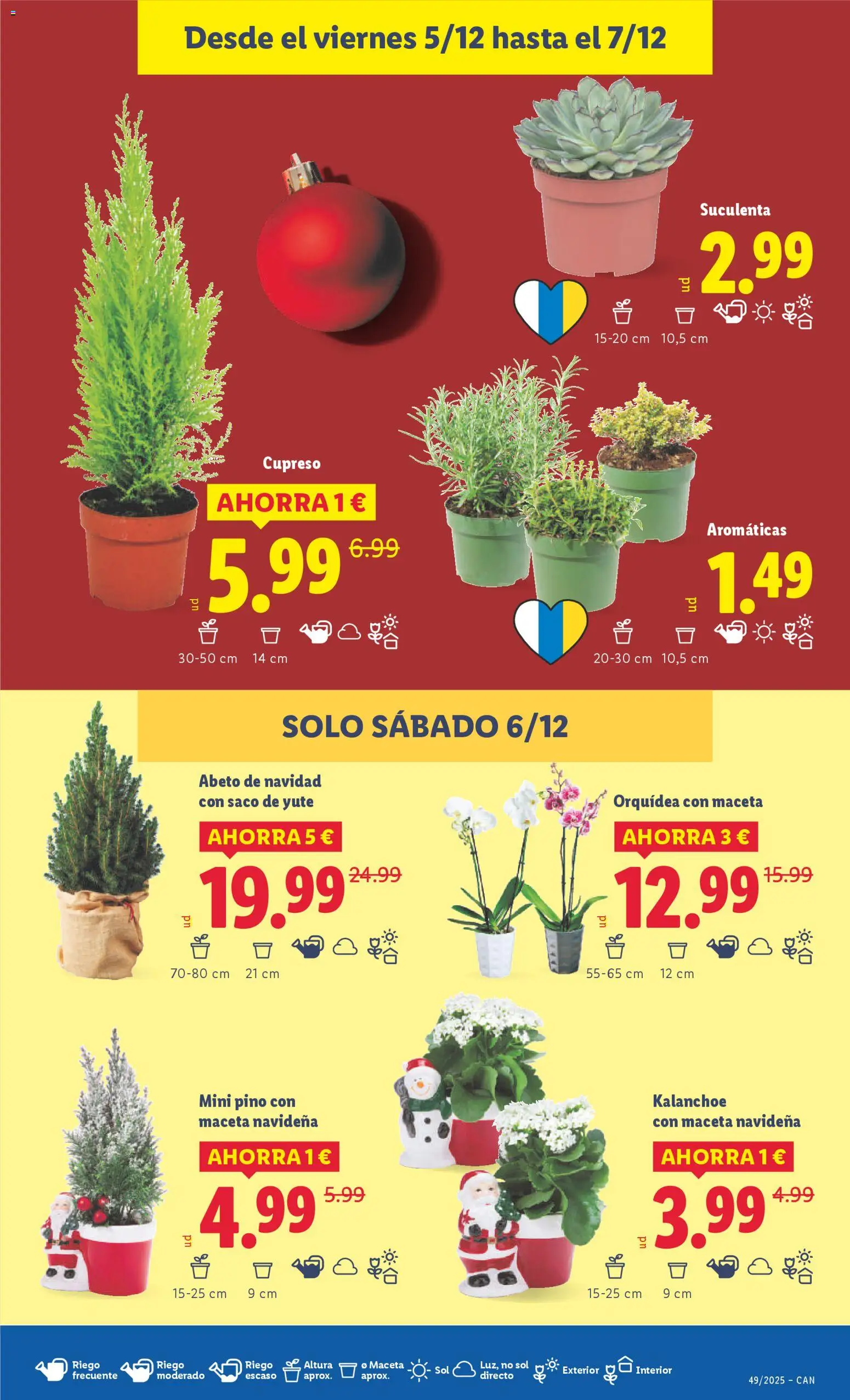 Lidl - Canarias │ válido desde el 01.12.2025 | Página: 53