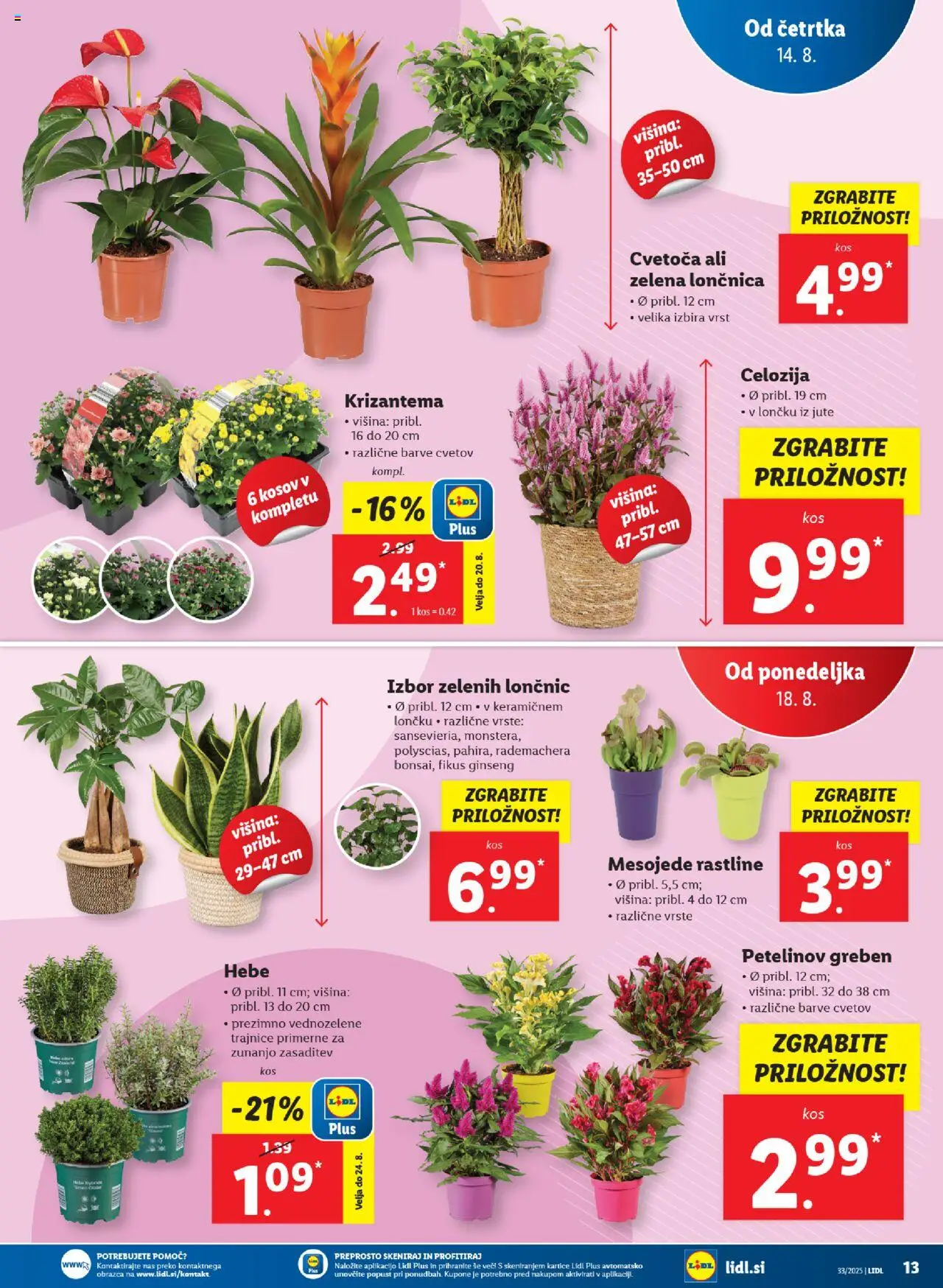 Lidl katalog │ velja od 14.08.2025 | Stran: 27 | Izdelki: Kos, Zelena