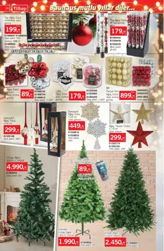 29.11.2025 tarihinden itibaren geçerli olan Bauhaus kataloğu önizlemesi | Sayfa: 6 | Ürünler: Kutu