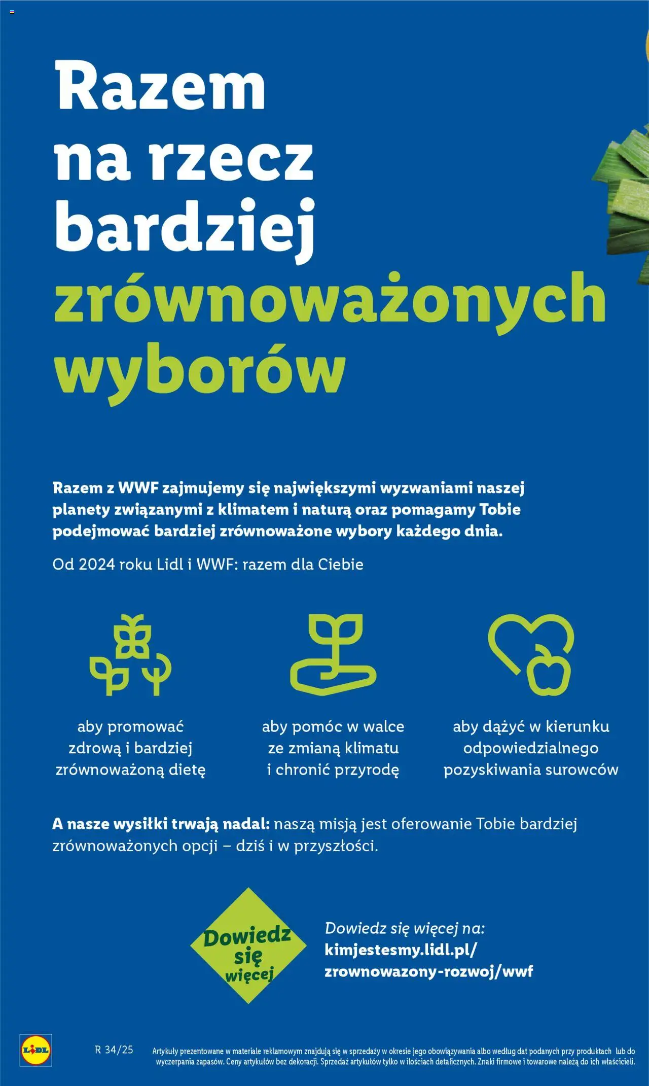 Lidl Katalog od 18.08.2025 | Strona: 52