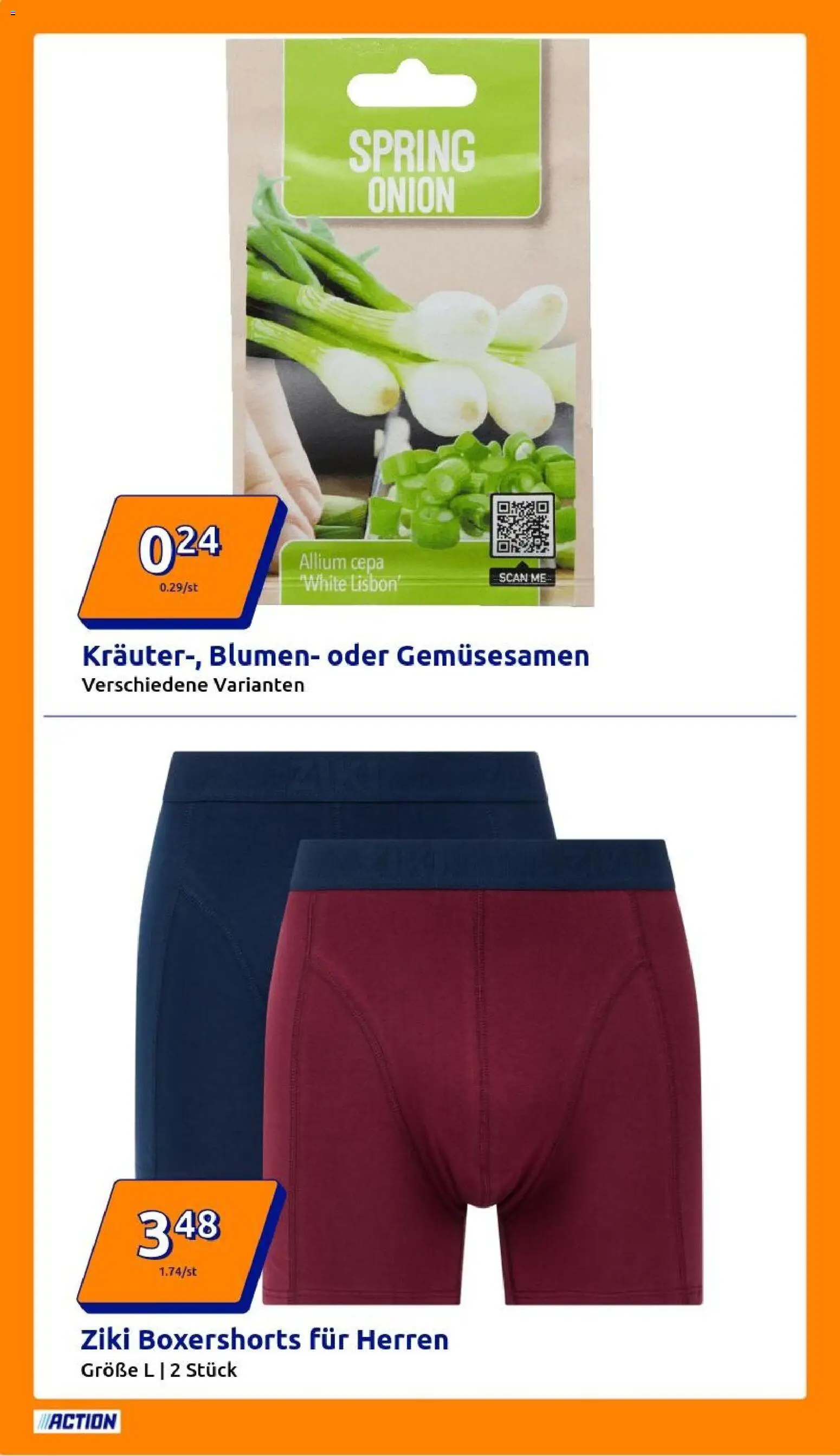Action Prospekt – gültig ab 18.02.2026 | Seite: 8 | Produkte: Blumen