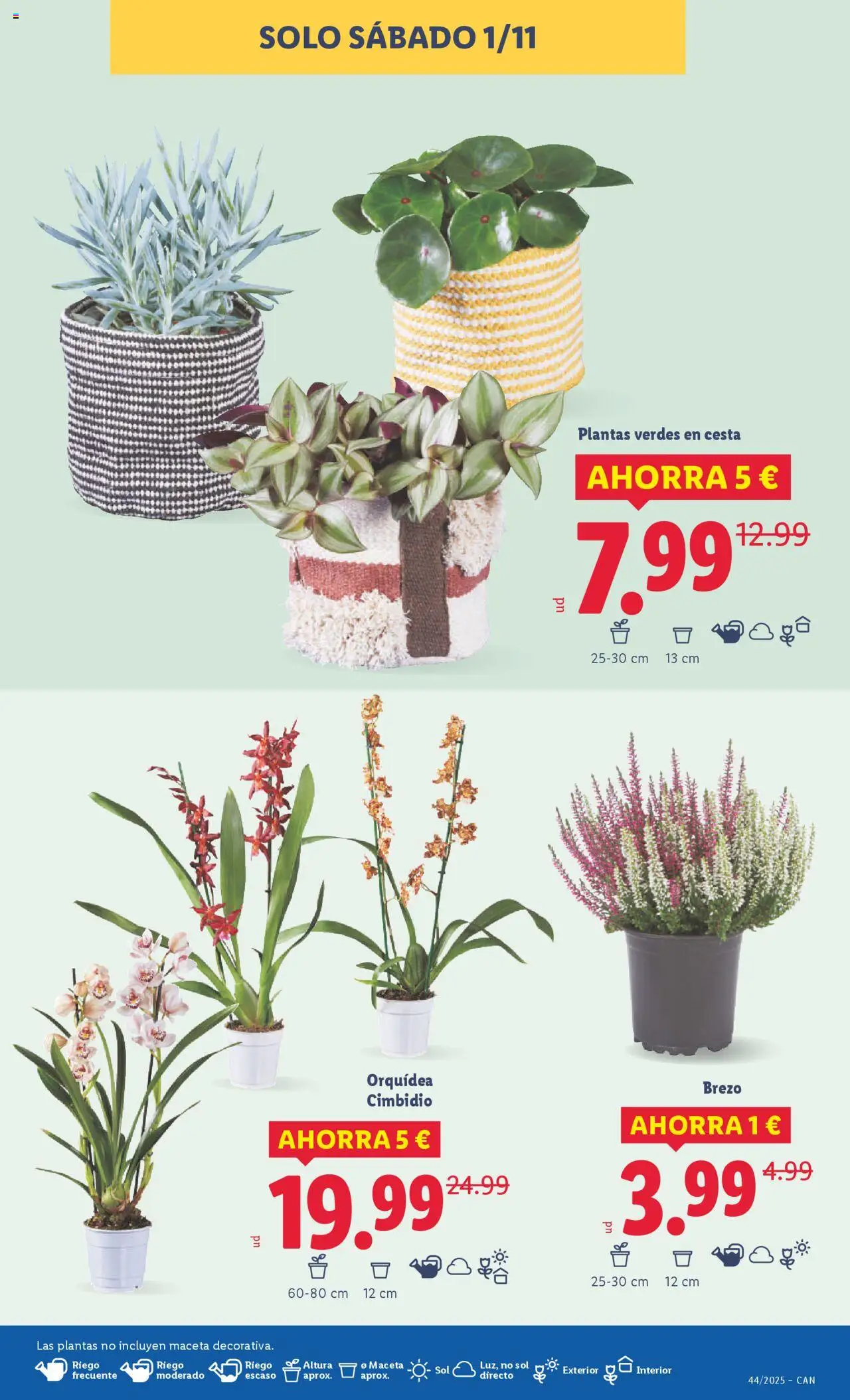 Lidl - Canarias │ válido desde el 27.10.2025 | Página: 35 | Productos: Cesta, Maceta