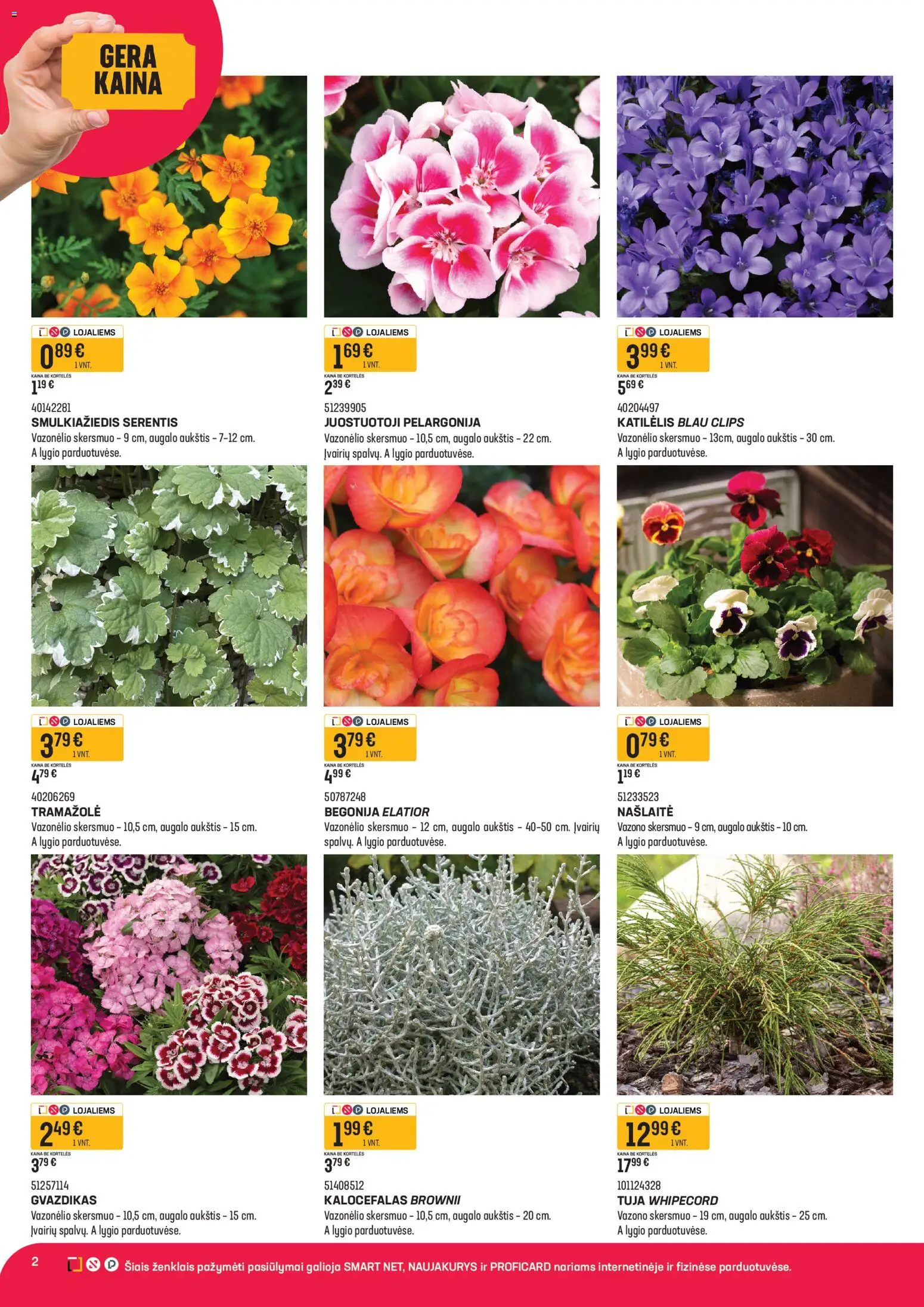 Senukai akcijos nuo 15.04.2026 | Puslapis: 2