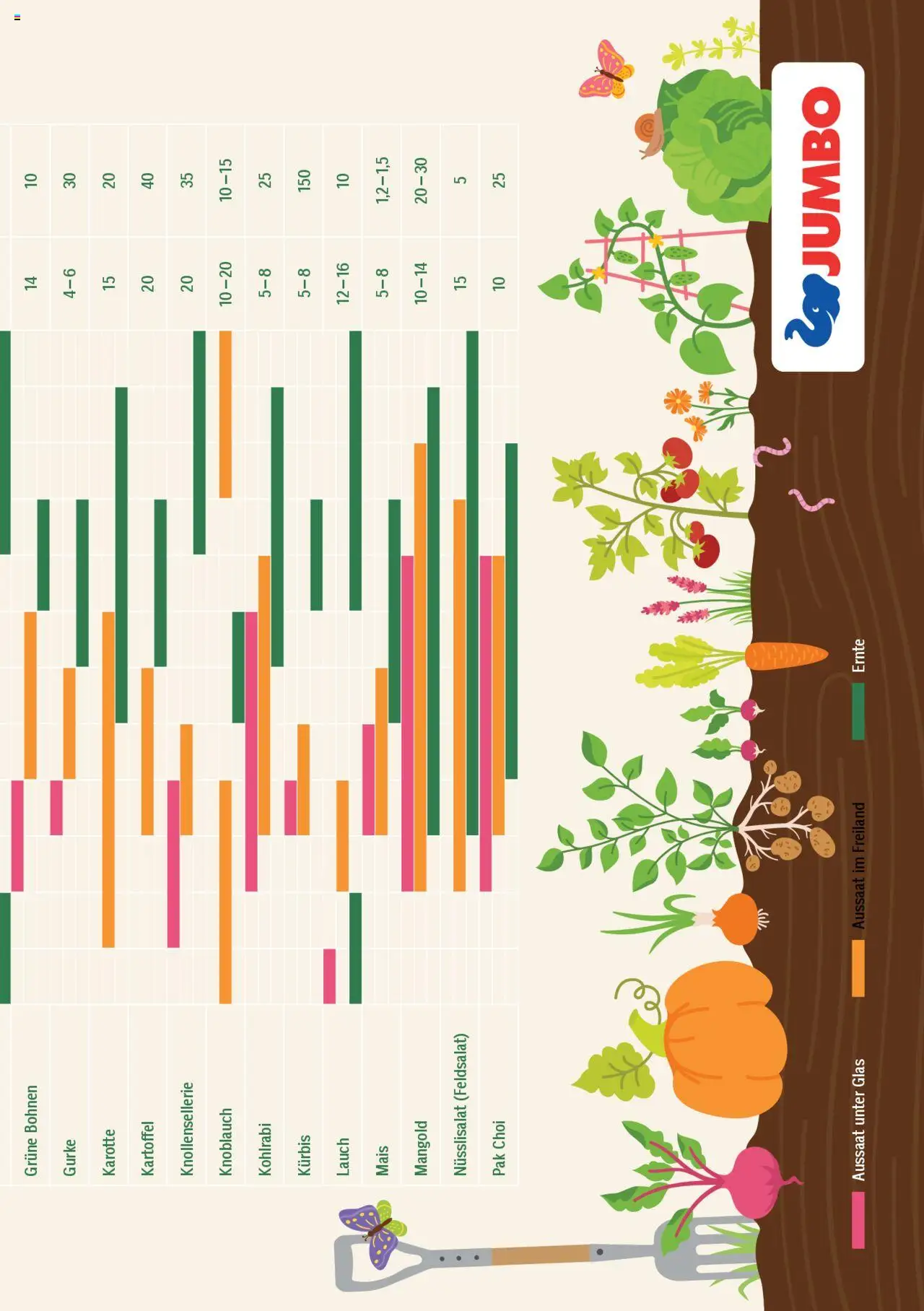 Jumbo Aktionen Dein Garten 2025 ab 21.02.2025 | Seite: 29 | Produkte: Karotte, Knoblauch, Kürbis
