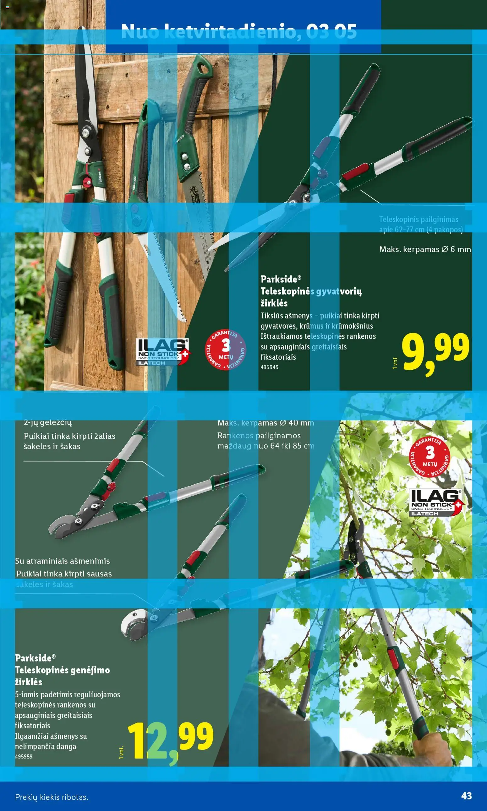 LIDL akcijos nuo 16.02.2026 | Puslapis: 31