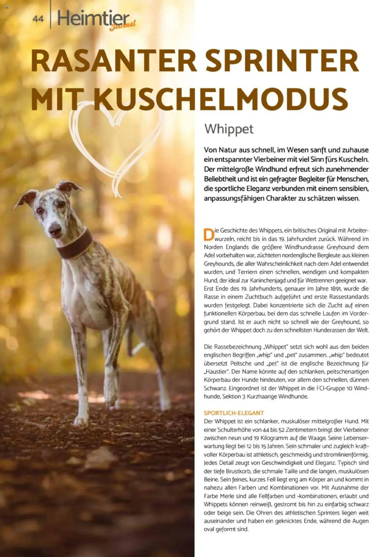 zookauf Heimtier Journal – gültig ab 01.10.2025 | Seite: 44