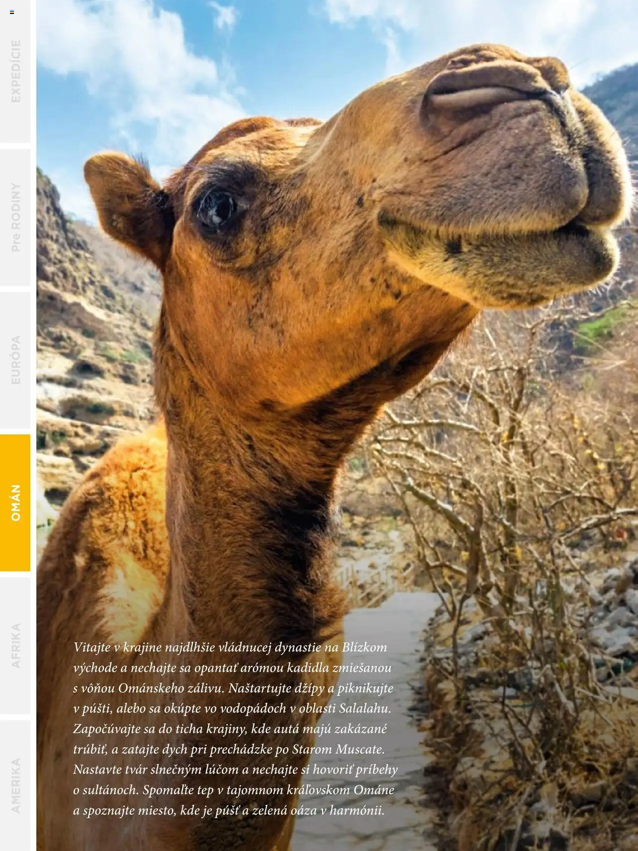 Nové Satur akcie – leták je platný od 24.09.2024 | Strana: 214