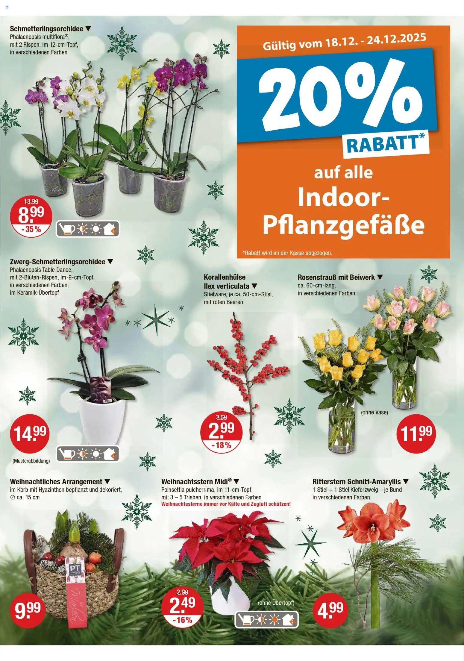 V-Markt - Schwaben / Oberbayern – gültig ab 18.12.2025 | Seite: 20 | Produkte: Korb, Vase