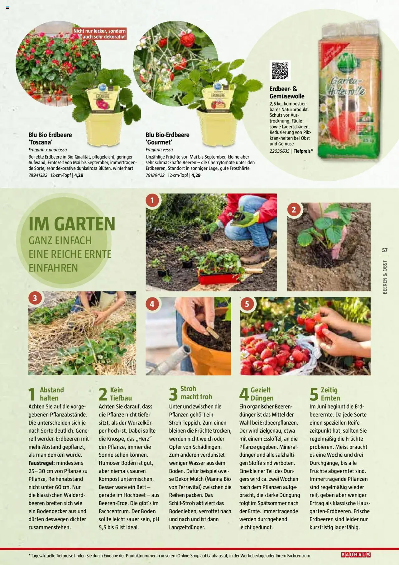 Bauhaus Reiche Ernte Magazin 2025 gültig ab 01.07.2025 | Seite: 57 | Produkte: Erdbeeren, Wasser, Gemüse, Bett