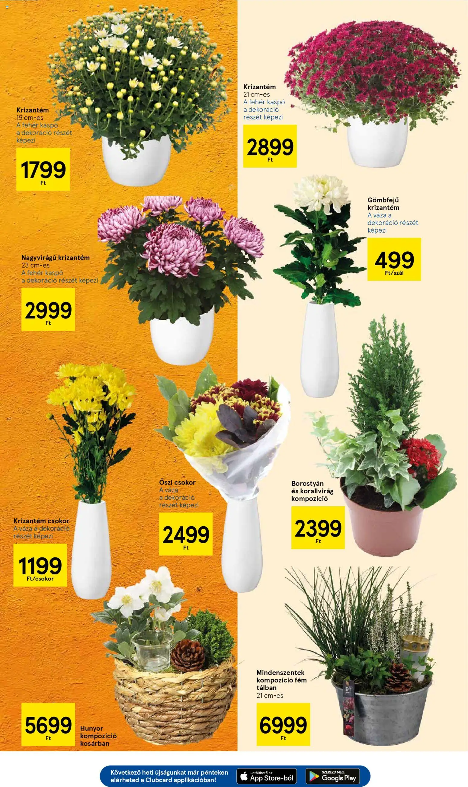 Tesco akciós ujság - amely érvényes a következő dátumtól: 30.10.2025 | Oldal: 11 | Termékek: Váza, Kaspó, Dekoráció