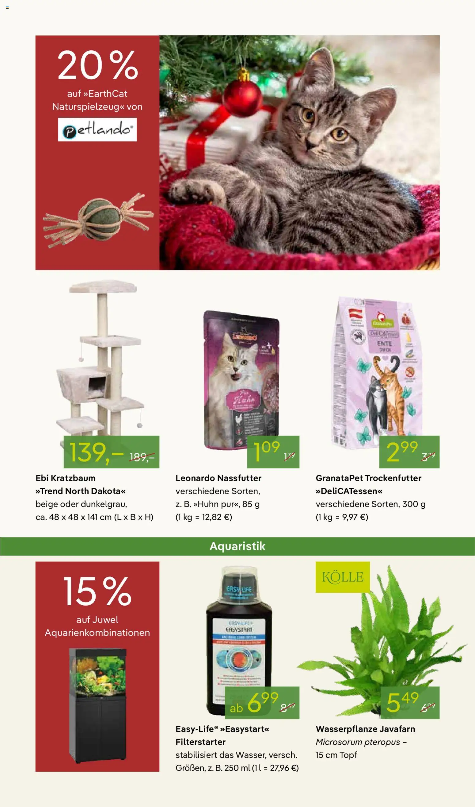 Pflanzen-Kölle Prospekt 	 – gültig ab 24.11.2025 | Seite: 15 | Produkte: Ente