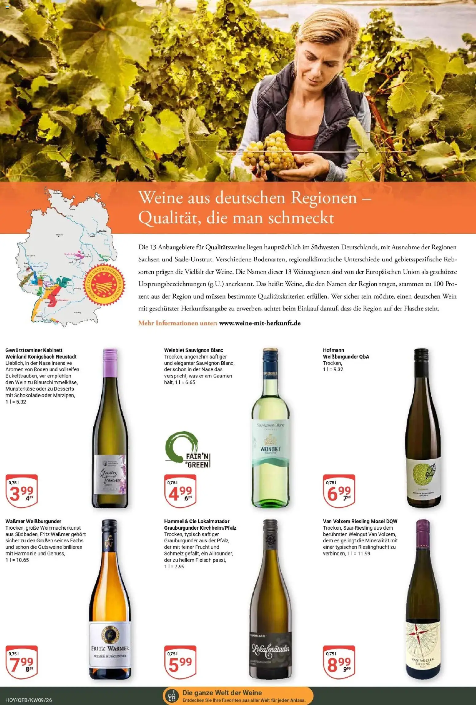 Globus Prospekt Hoyerswerda – gültig ab 23.02.2026 | Seite: 13 | Produkte: Schokolade, Wein, Fleisch