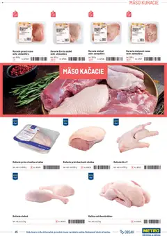 Metro leták platný od 01.01.2025 | Strana: 45