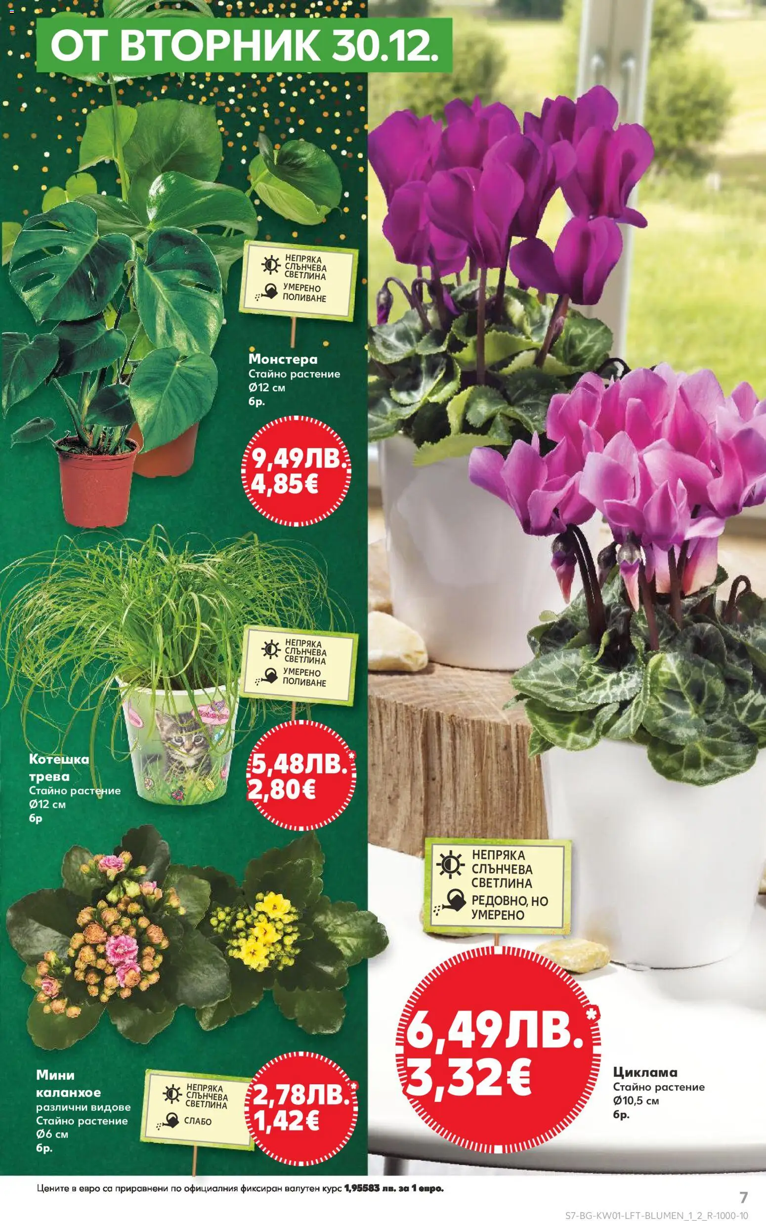 {H1} | Страница: 7