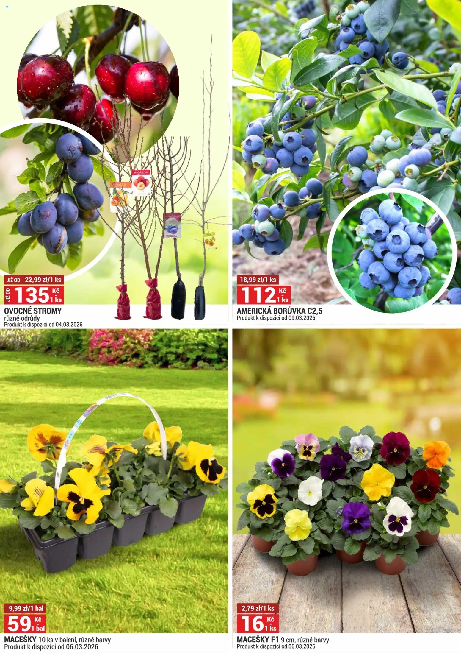 Merkury Market leták od 01.03.2026 | Strana: 5 | Produkty: Barvy