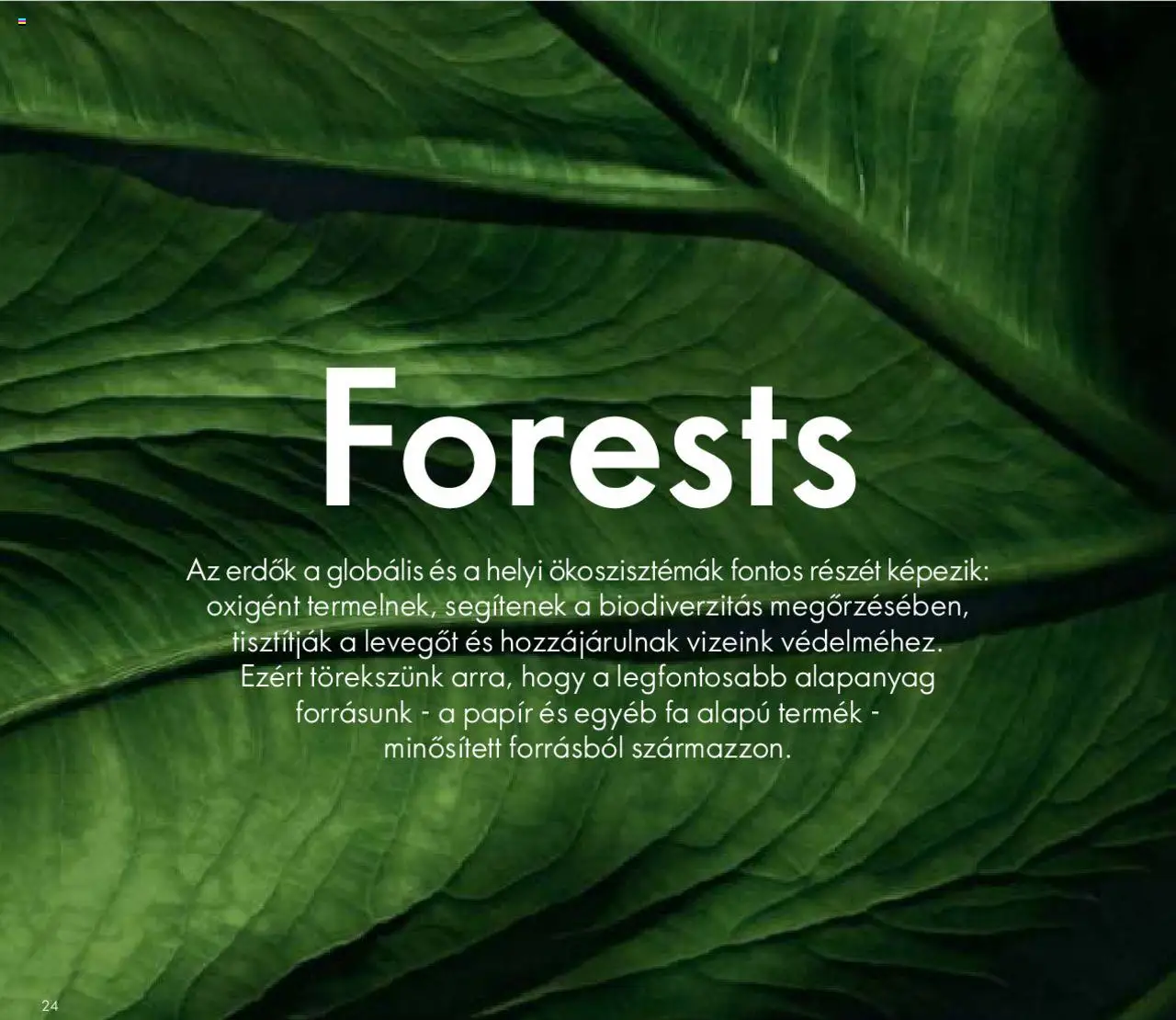 Oriflame akciós ujság - amely érvényes a következő dátumtól: 27.05.2020 | Oldal: 24