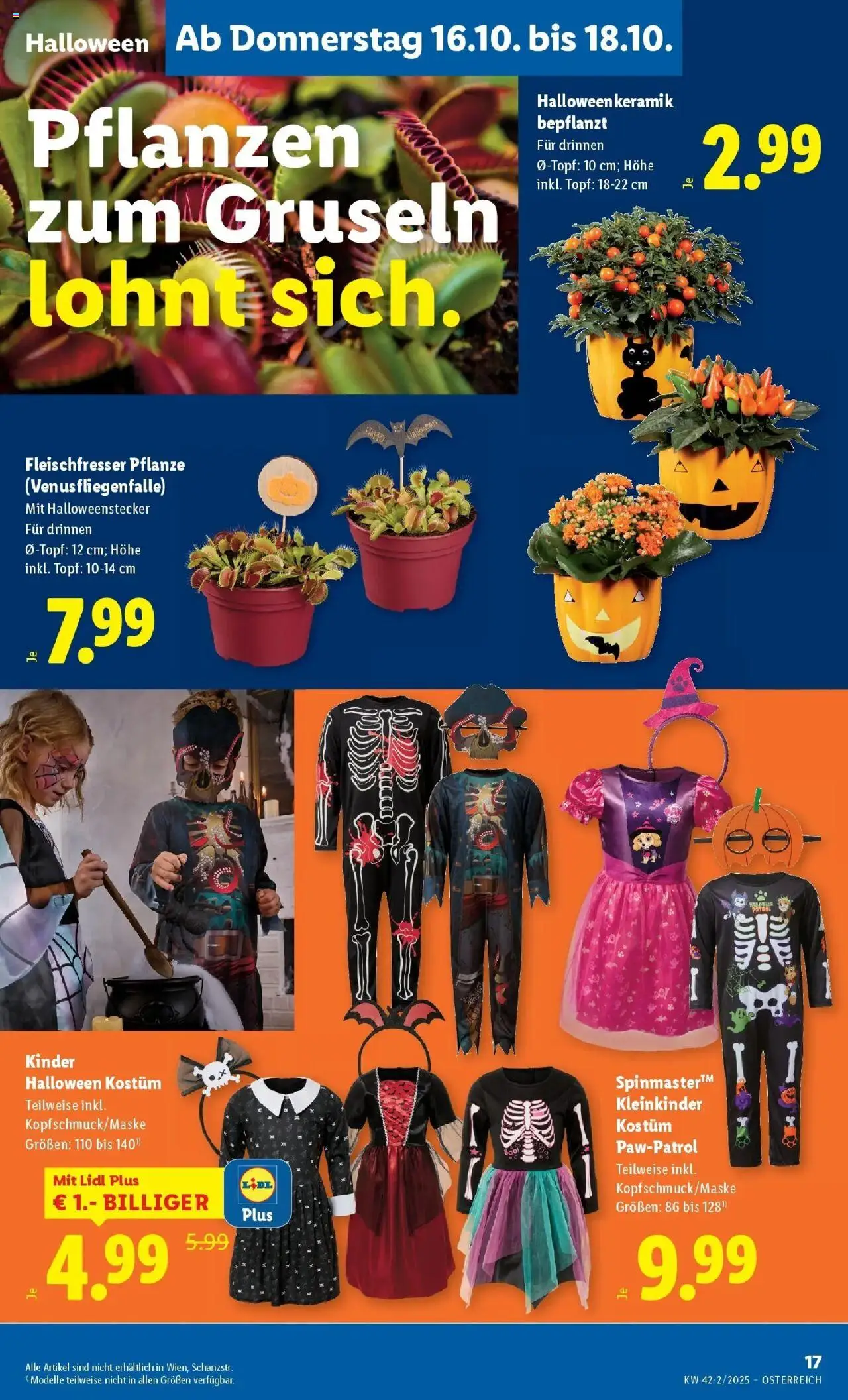 Lidl Flugblatt - Jenbach, Eferding, Dornbirn gültig ab 15.10.2025 | Seite: 21