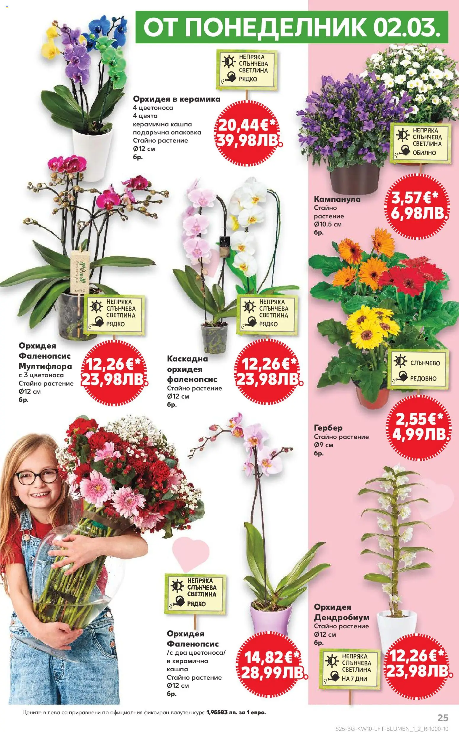 {H1} | Страница: 25 | Продукти: Кашпа, Орхидея