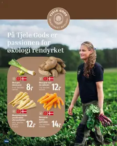 Føtex - Tilbudsavis gyldig fra 17.10.2025 | Side: 18 | Produkter: Rødbeder, Gulerødder, Pastinakker, Lingerie