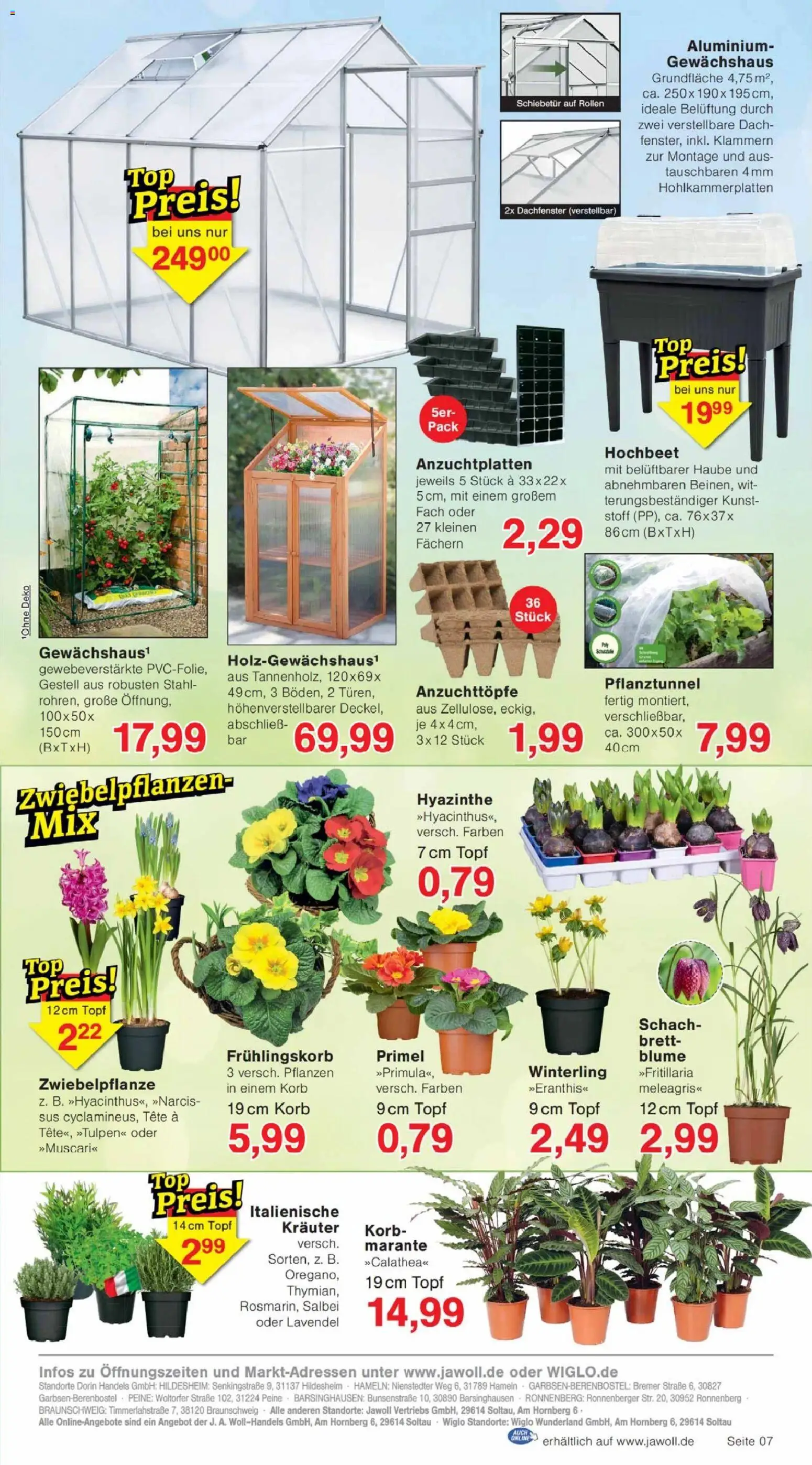 Jawoll Prospekt – gültig ab 02.02.2026 | Seite: 11 | Produkte: Hochbeet, Korb, Lavendel