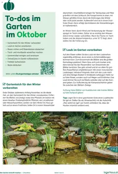 Lagerhaus Den Garten winterfit machen ab 20.10.2025 gültig | Seite: 3 | Produkte: Wasser, Tisch, Gartenmöbel, Spiegel