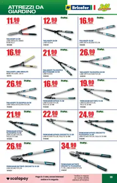 Volantino Bricofer del 27.05.2025 | Pagina: 99 | Prodotti: Tè, Tagliasiepi, Tagliasiepe