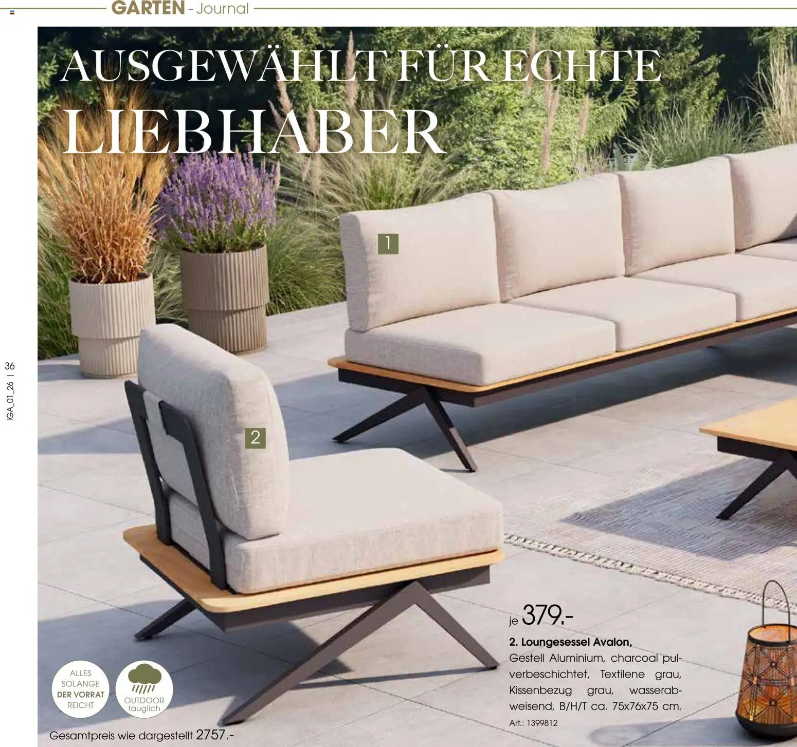 Zurbrüggen Sommer 2026 – gültig ab 19.03.2026 | Seite: 36