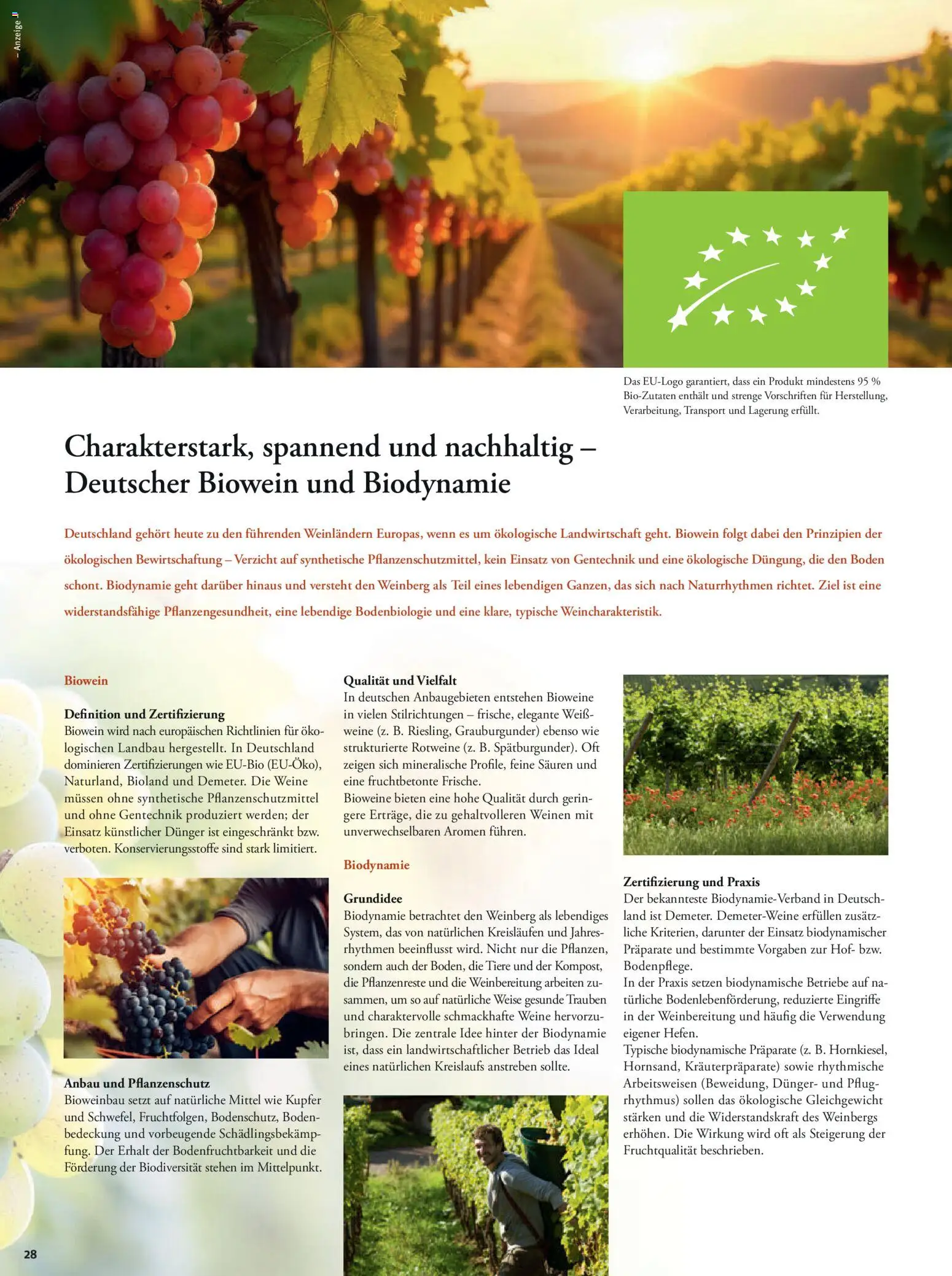 Tegut Prospekt – gültig ab 01.12.2025 | Seite: 30 | Produkte: Trauben