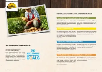 Metro angebote McCain ab 09.08.2025 gültig | Seite: 18