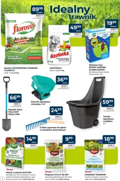 Pogląd oferty "Mrówka gazetka - Kamionki" - ważna od 30.03.2026 | Strona: 2 | Produkty: Nasiona, Warzywa, Owoce