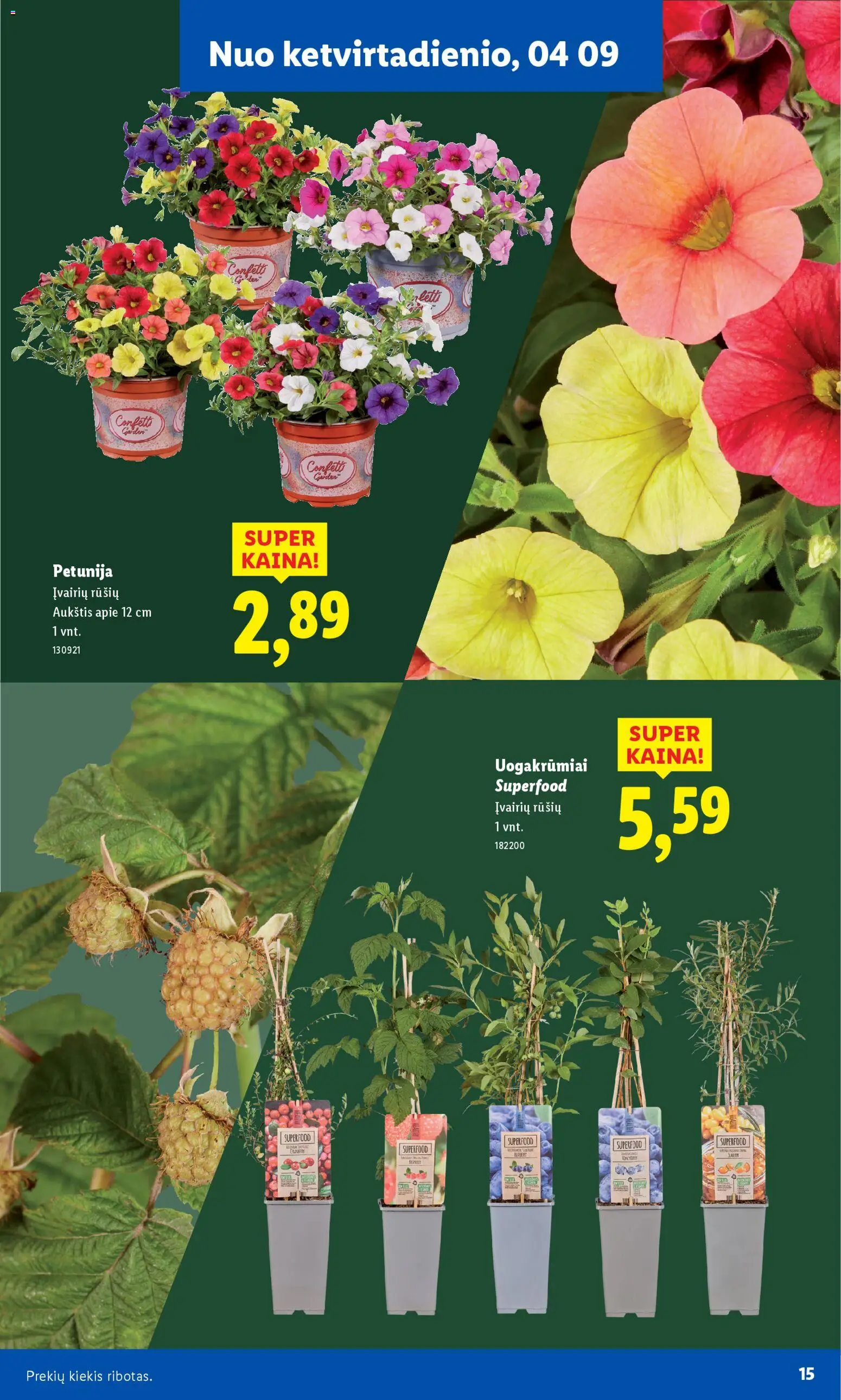 LIDL akcijos nuo 30.03.2026 | Puslapis: 15