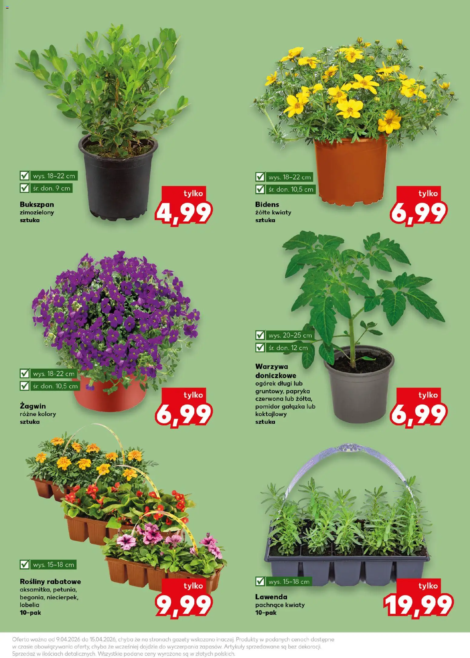 Kaufland Polsko leták - Wiosenne inspiracje od 09.04.2026 | Strana: 11