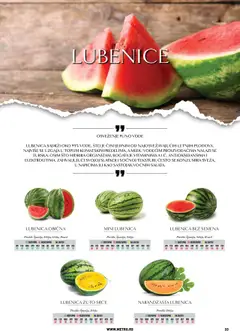 Metro voće i povrće - pregled Metro kataloga - važi od 07.10.2025 | Strana: 33