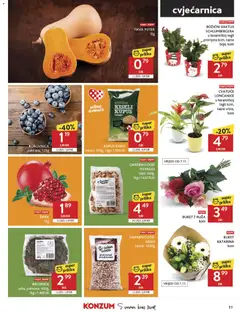 BRUSNICA, suha, pakirana, 400g, 1kg=7,48EUR - Pregled kataloga iz trgovine Konzum, vrijedi od 05.11.2025 | Stranica: 11