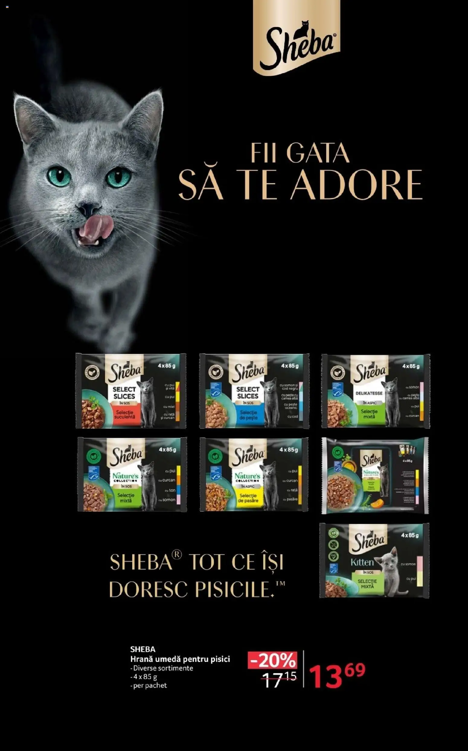 Noul catalog Selgros – valabil de la 20.02.2026 | Pagină: 22 | Produse: Hacıyatmaz Kedi Oyuncağı, Pește, Sos