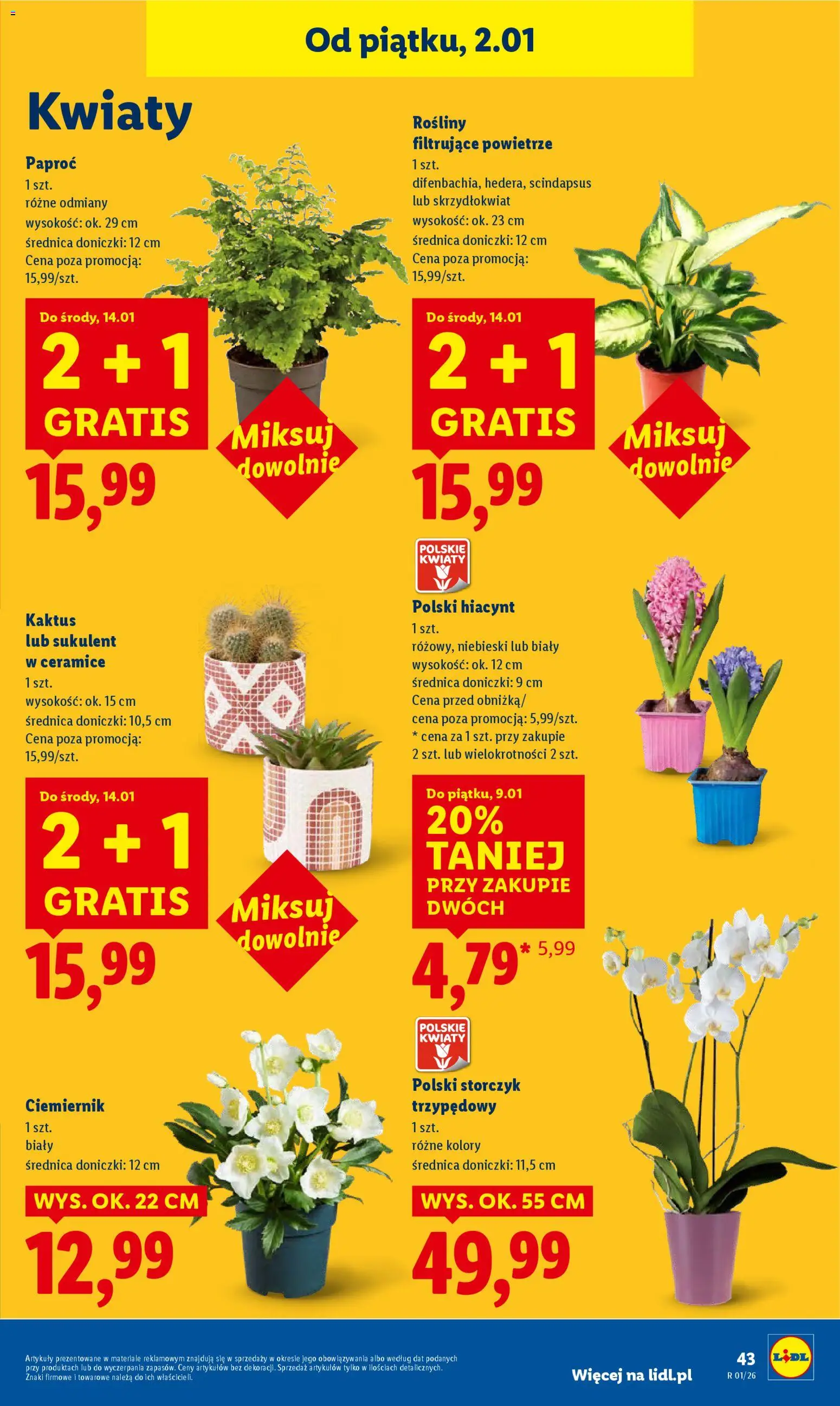 Lidl Gazetka od 02.01.2026 | Strona: 45