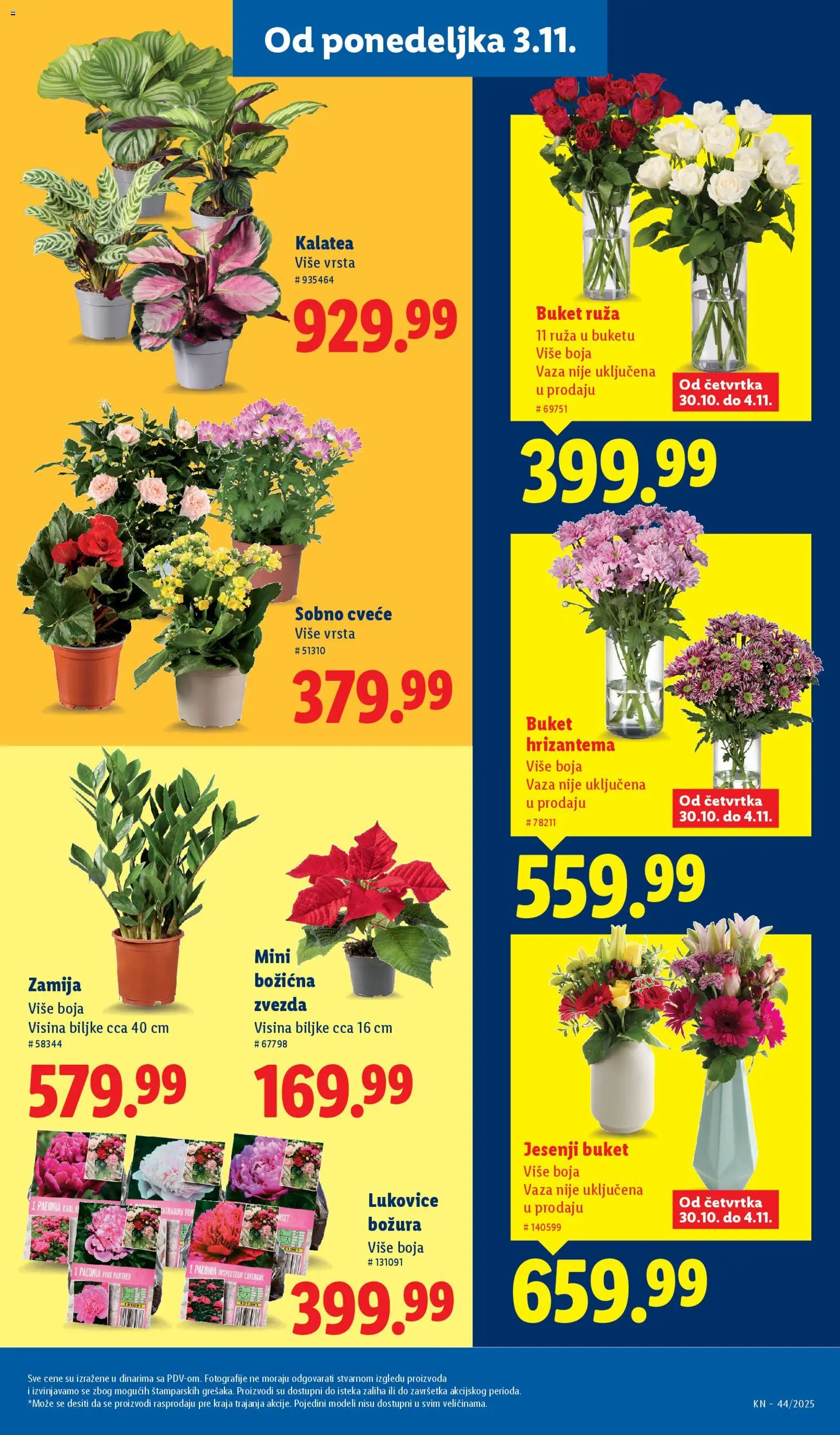 Lidl katalog - važi od 30.10.2025 | Strana: 55 | Proizvode: Kabl, Vaza, Hrizantema, Cvece