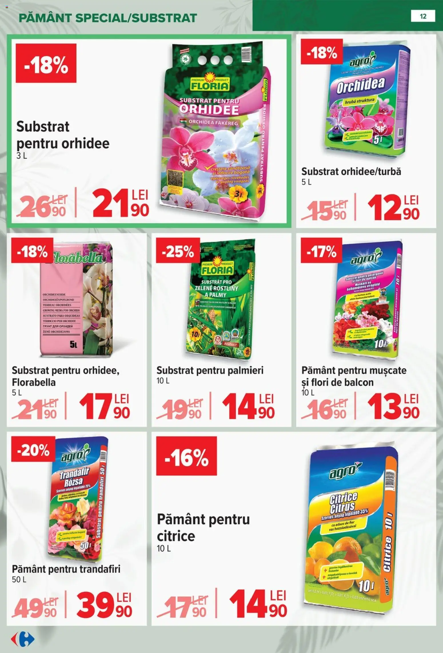 Noul catalog Carrefour – valabil de la 11.02.2026 | Pagină: 12 | Produse: Pară, Trandafir, Orhidee
