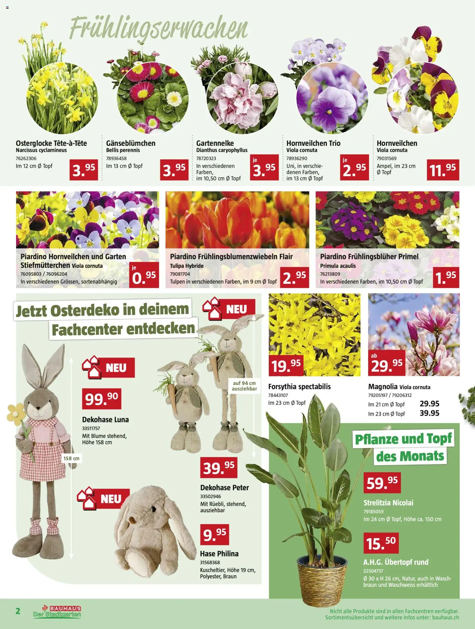 Bauhaus Aktionen – gültig ab 23.02.2026 | Seite: 2