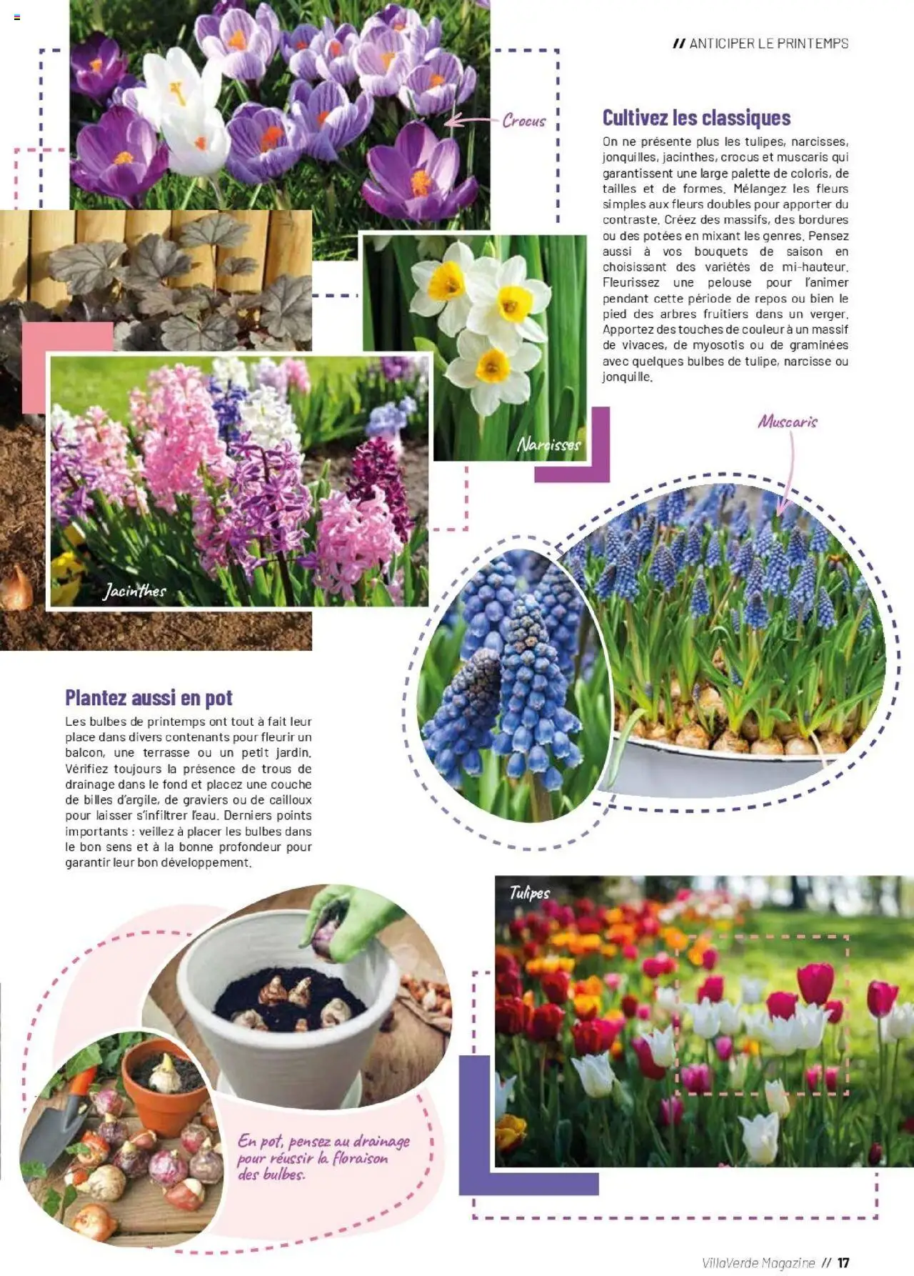 {H1} | Page: 17 | Produits: Tulipes, Magazine