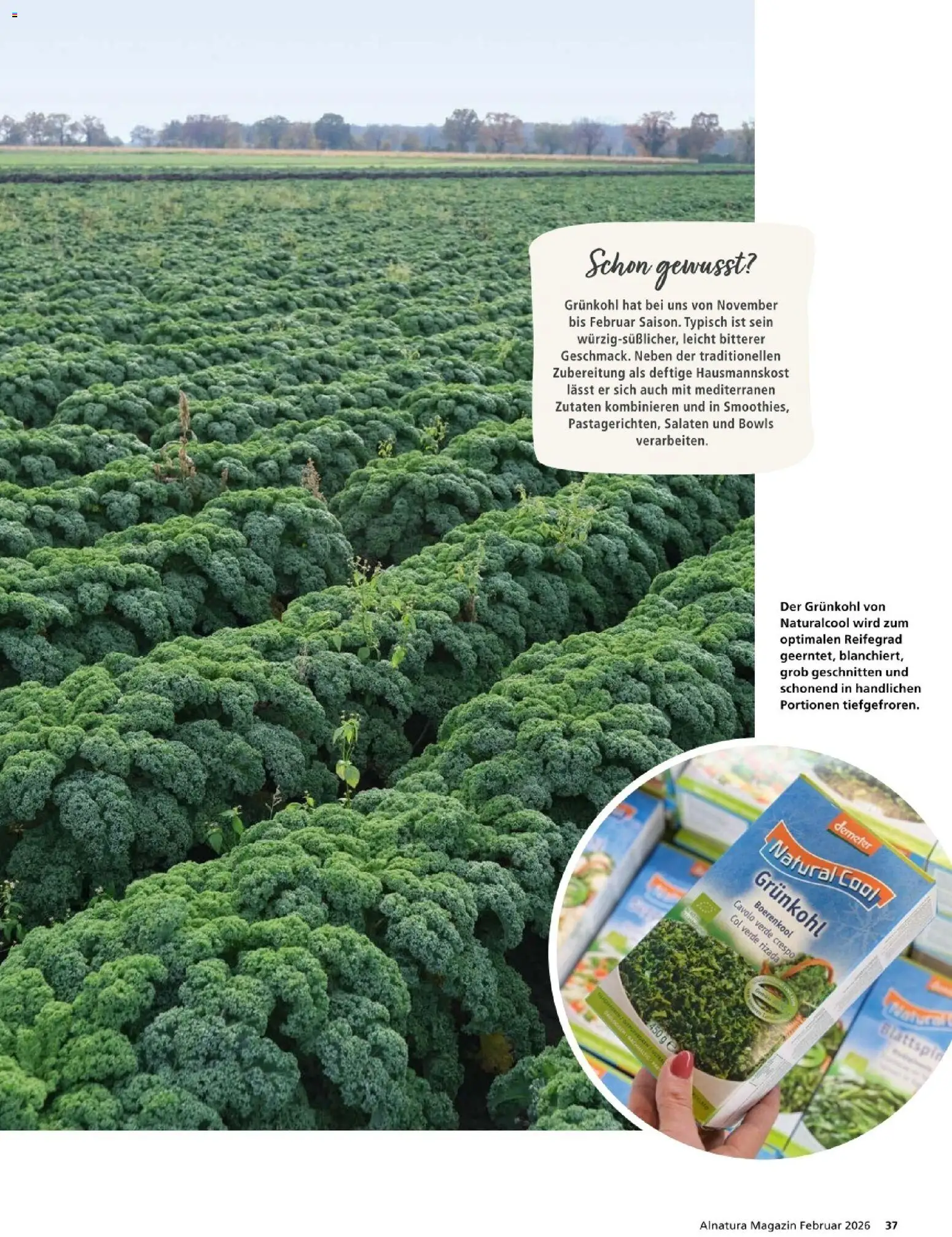 Alnatura Prospekt – gültig ab 01.02.2026 | Seite: 37