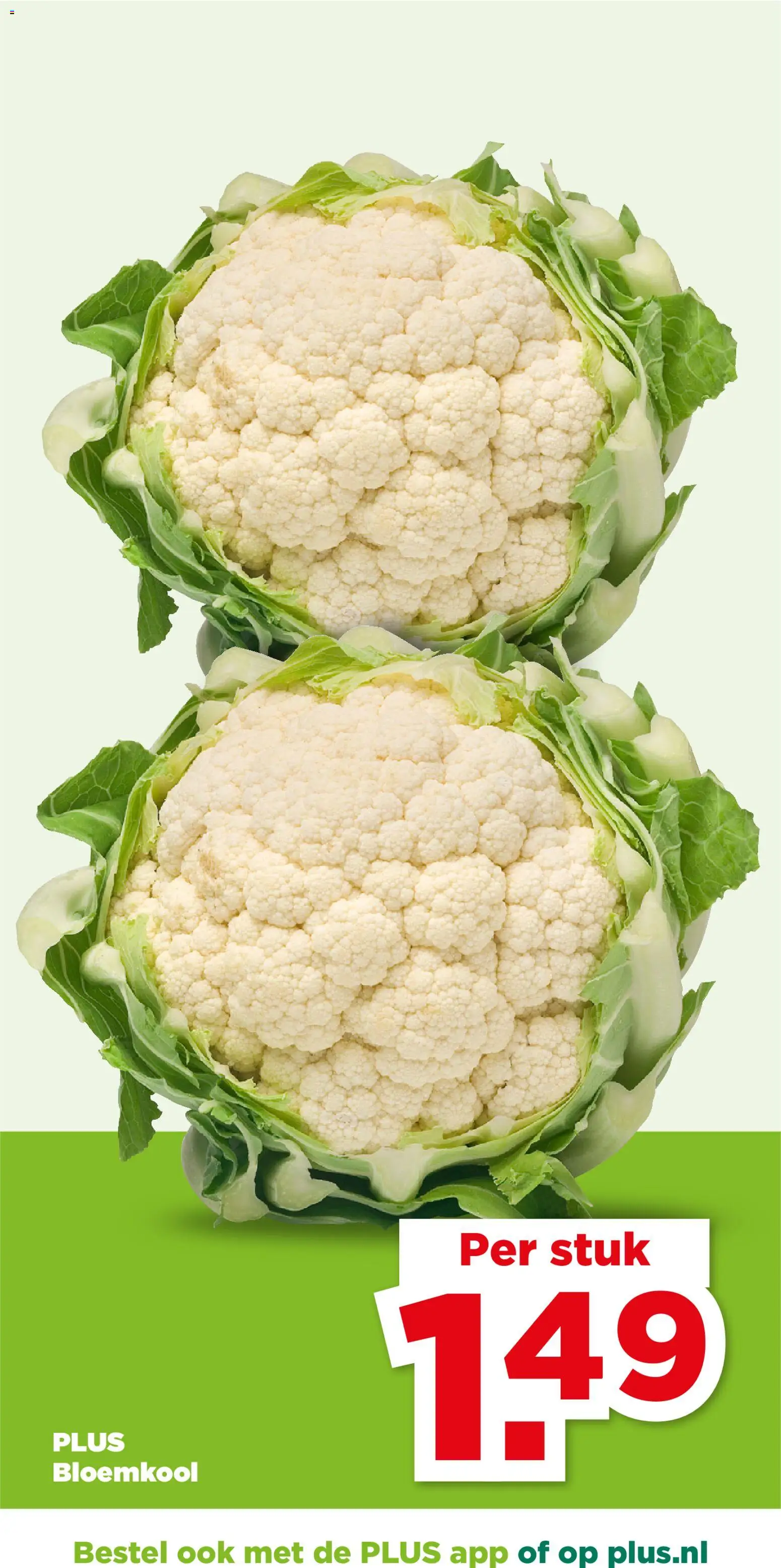 {H1} | Pagina: 22 | Producten: Bloemkool