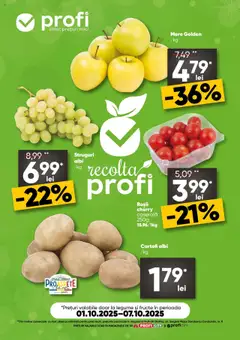 Ofertele Profi valabile de la 01.10.2025