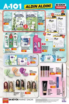 30.10.2025 tarihinden itibaren geçerli olan A101 kataloğu önizlemesi | Sayfa: 3
