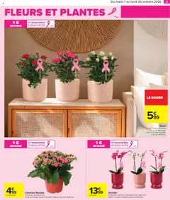 Carrefour - Prévisualisation de Carrefour catalogue toutes en beauté valide à partir de 07.10.2025 | Page: 7