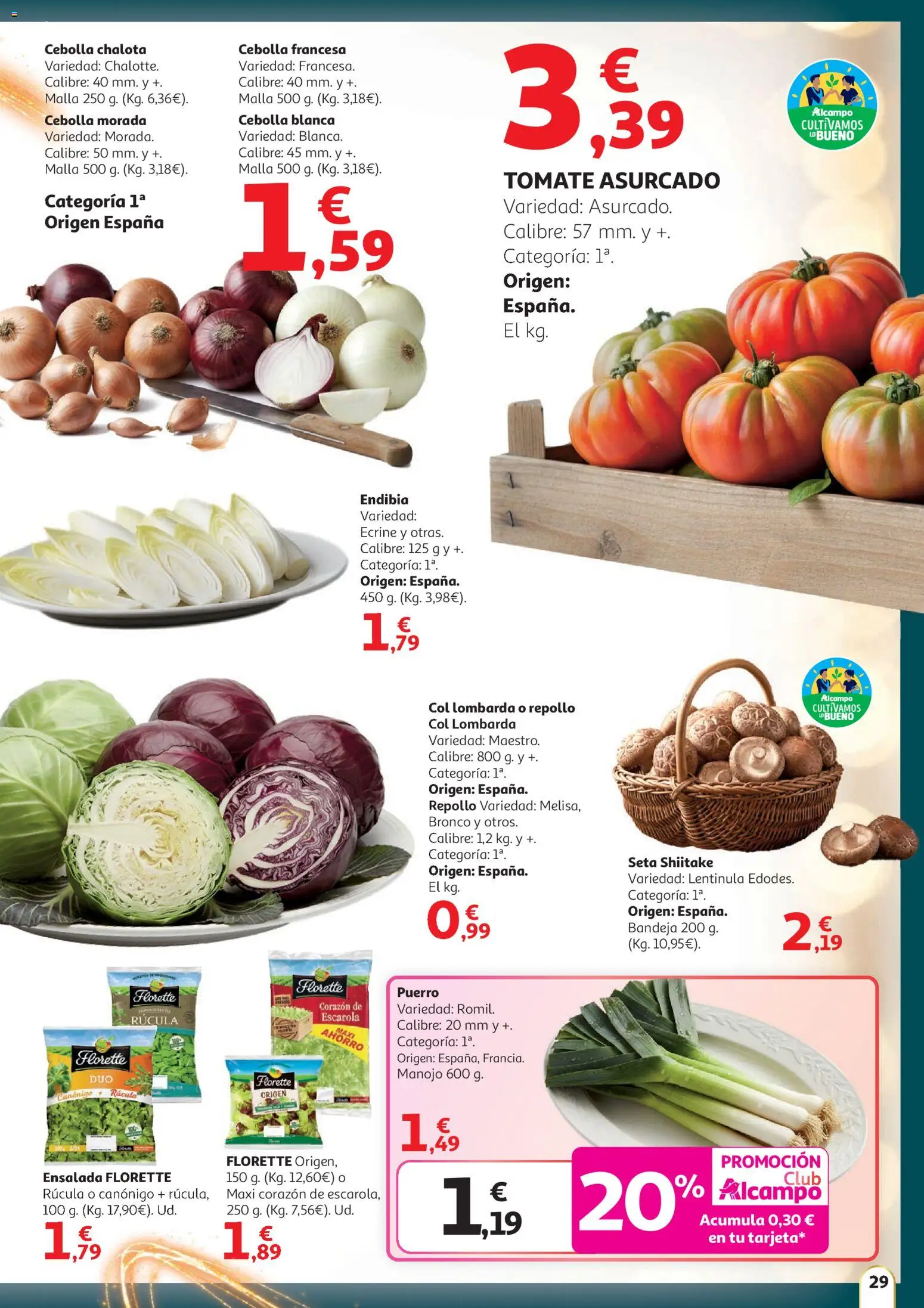 Alcampo - HG Nacional  │ válido desde el 11.12.2025 | Página: 29 | Productos: Σφουγγαρίστρα, Ensalada, Παγωμένο τσάι, Bandeja