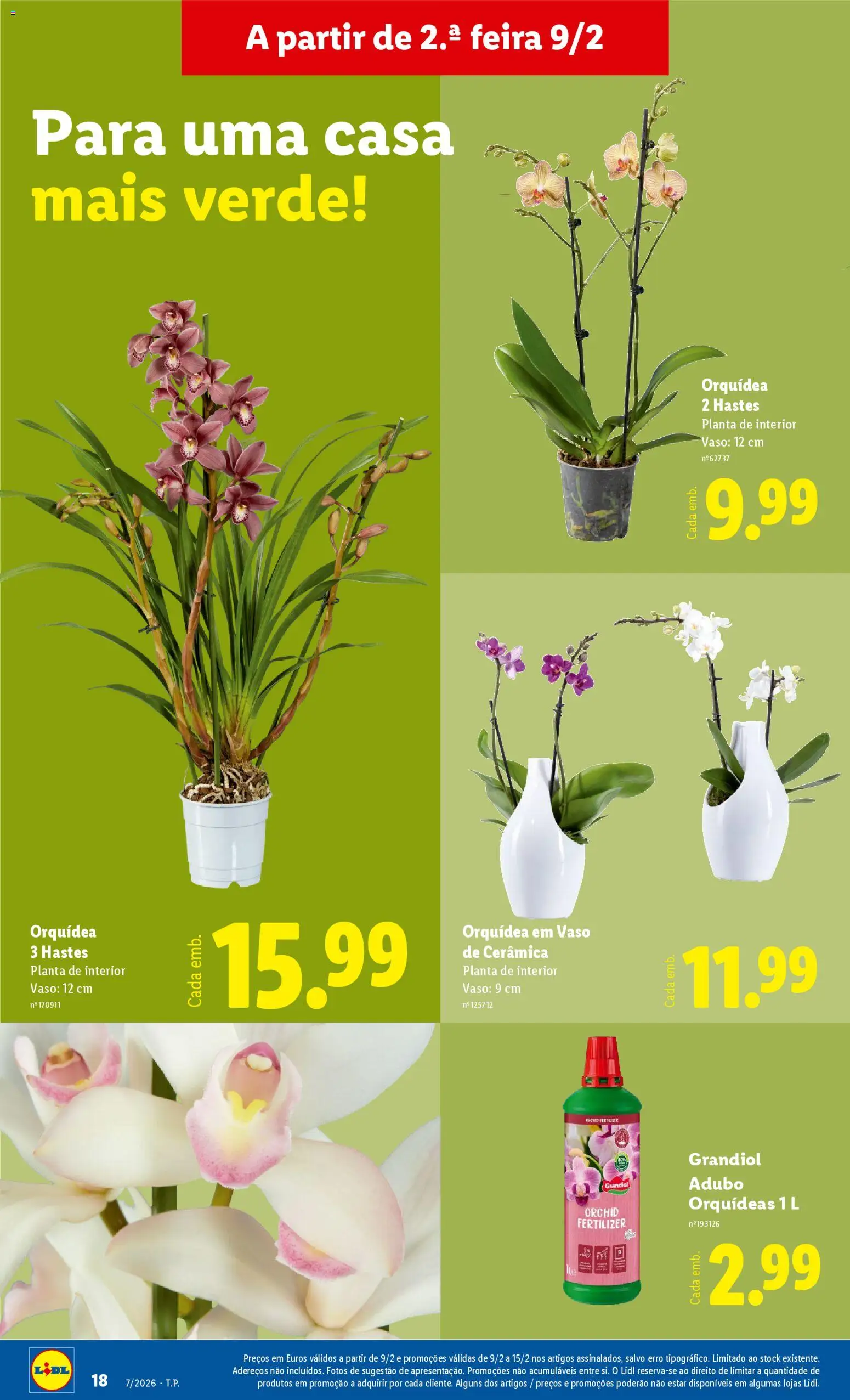 Lidl Novidades │ válido de 09.02.2026 | Página: 18